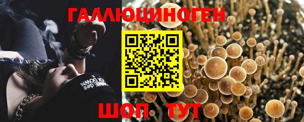 Псилоцибиновые грибы Psilocybine cubensis  магазин продажи наркотиков  Краснокаменск  Вход с VPN 